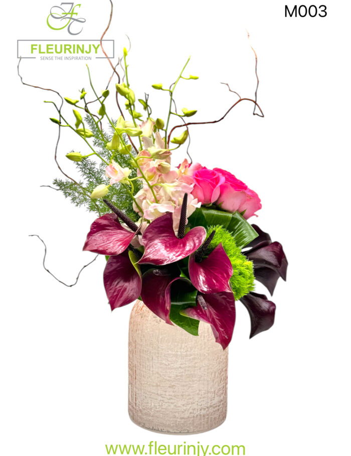 IMG_1010.jpg IMG_1010.jpg