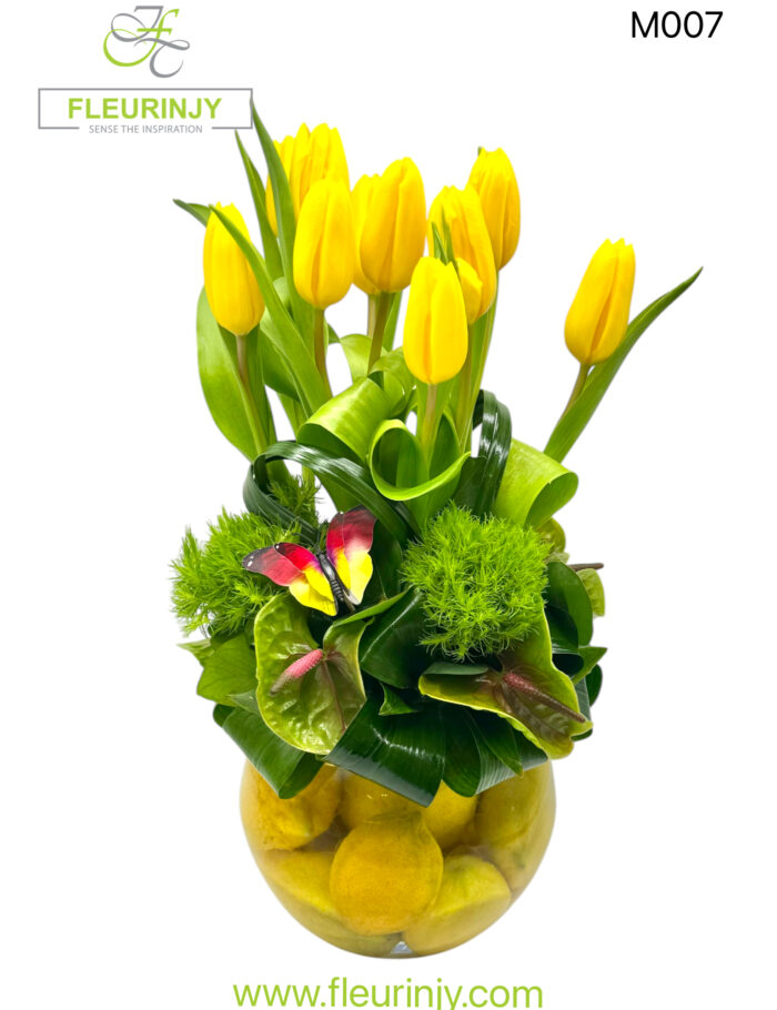 IMG_1024.jpg IMG_1024.jpg