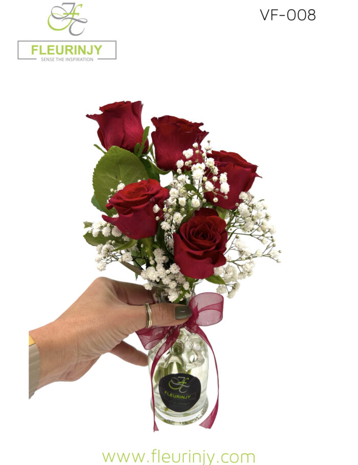 IMG_3478.jpg IMG_3478.jpg