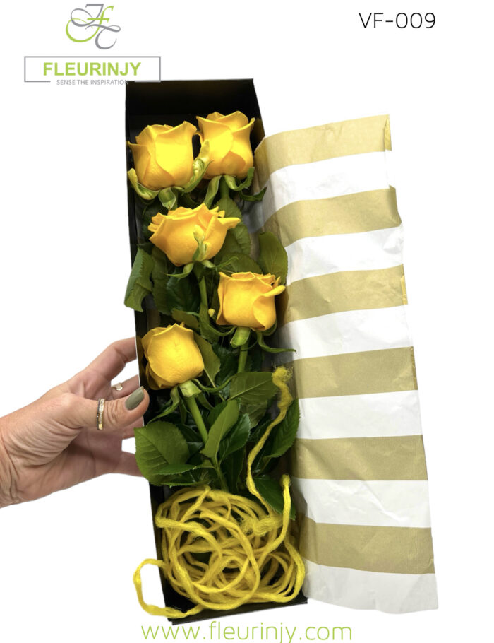 IMG_3481.jpg IMG_3481.jpg