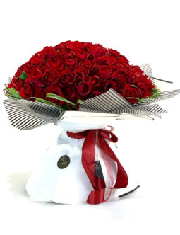 100 RED ROSES FV-0031