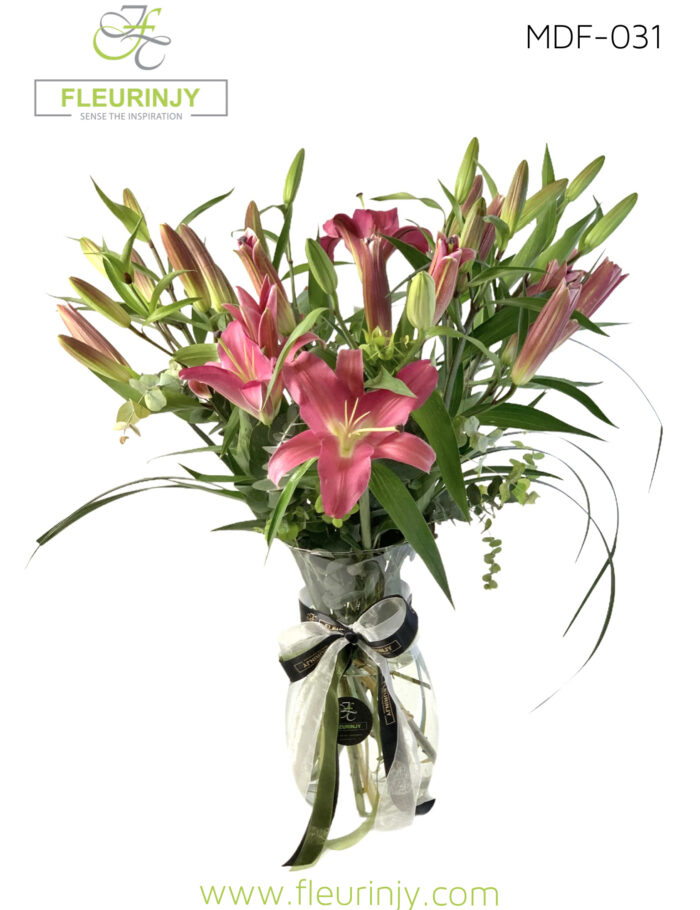 IMG_5729.jpg IMG_5729.jpg