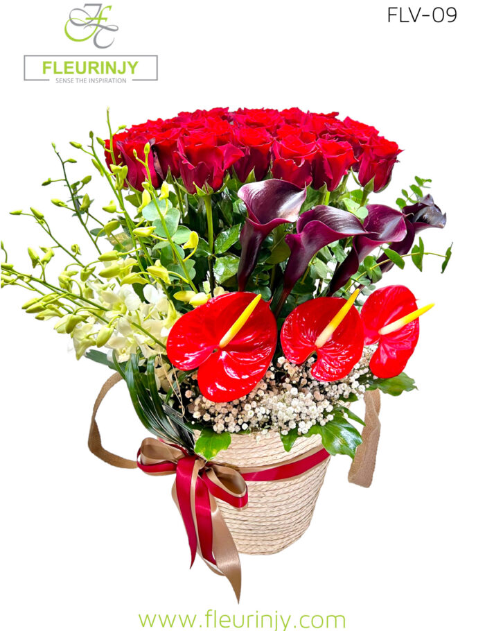 IMG_6468.jpg IMG_6468.jpg