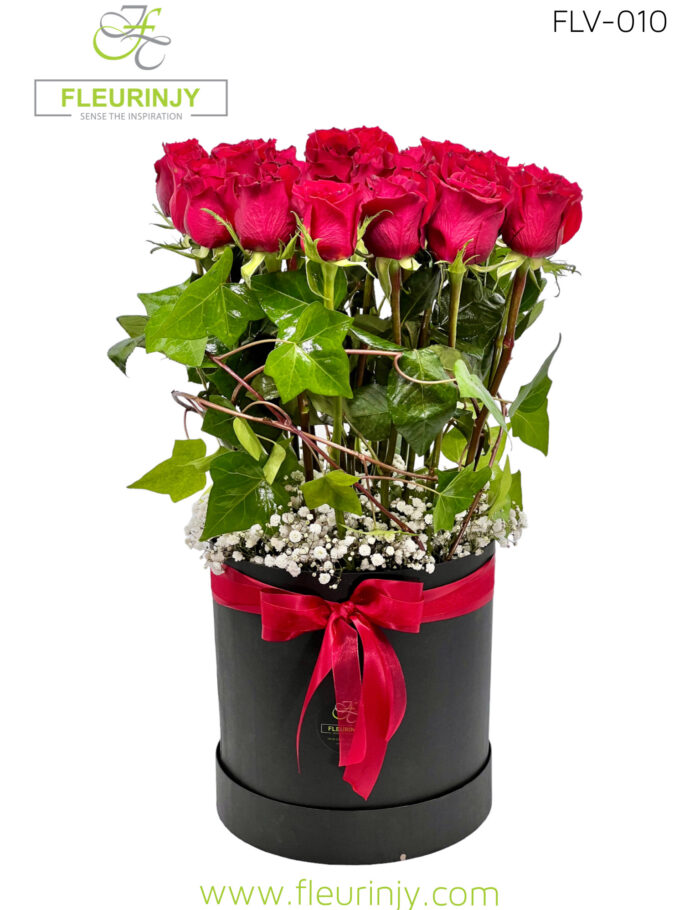 IMG_6470.jpg IMG_6470.jpg