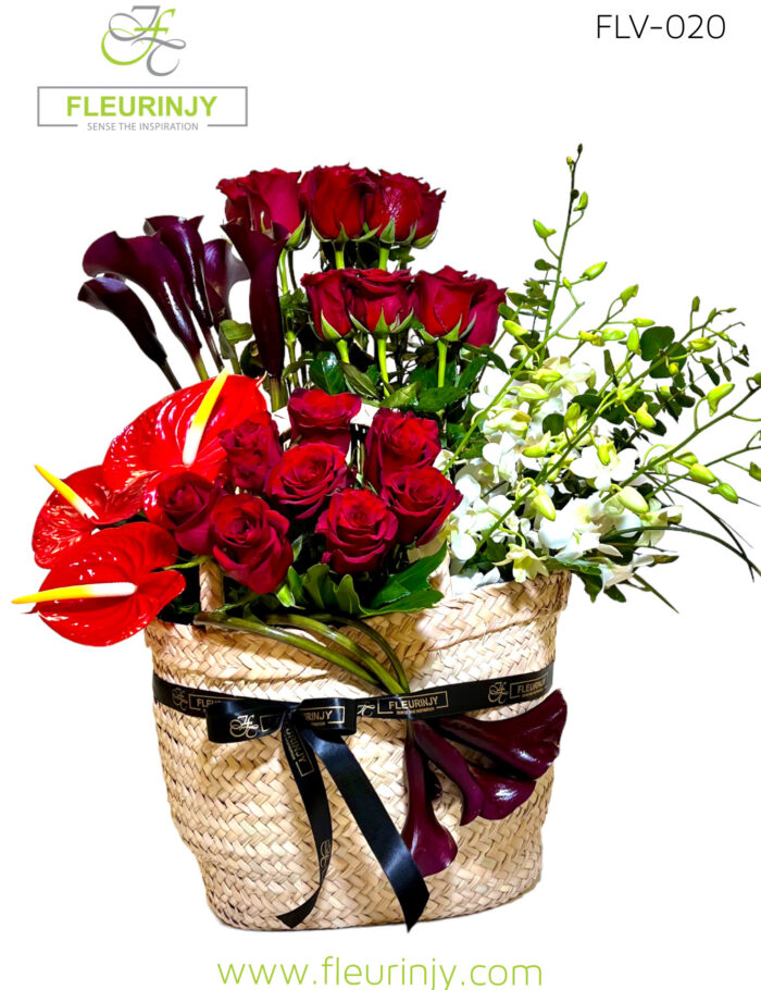 IMG_6503.jpg IMG_6503.jpg