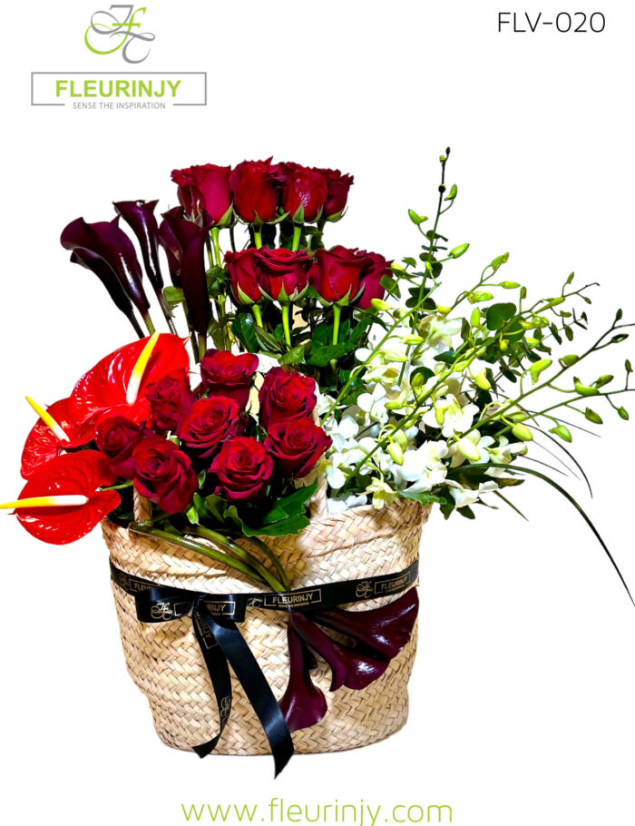 IMG_6504.jpg IMG_6504.jpg