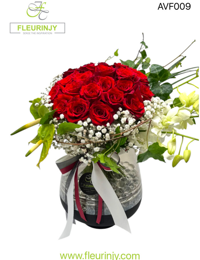 IMG_9715.jpg IMG_9715.jpg