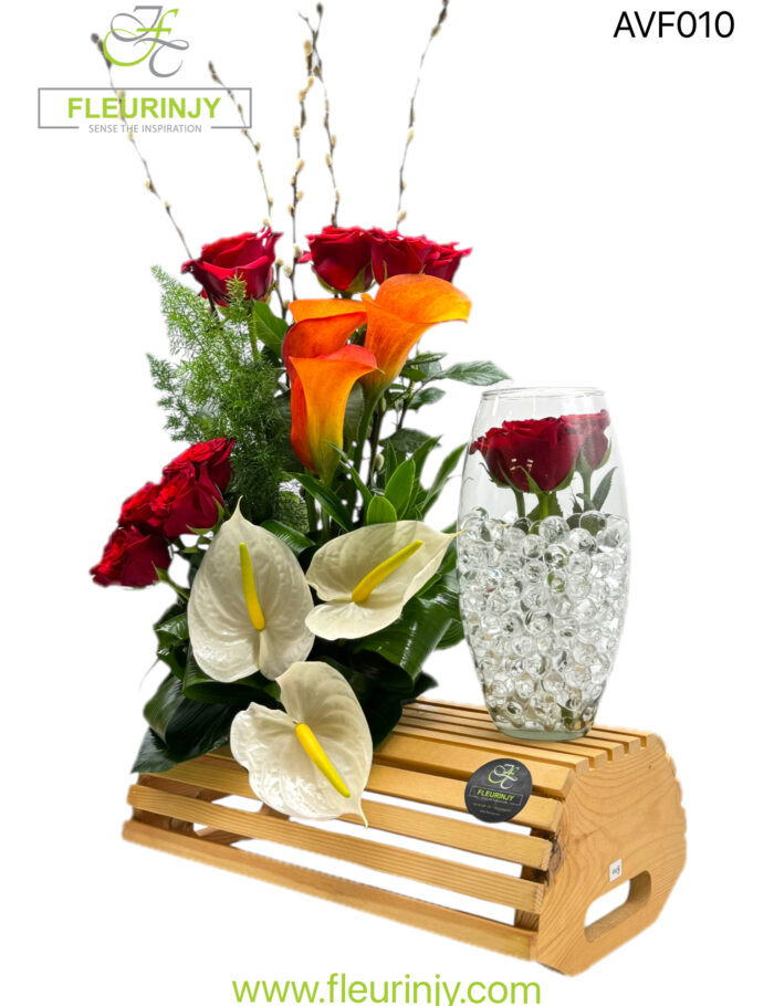 IMG_9719.jpg IMG_9719.jpg